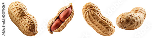 Peanuts in Shell