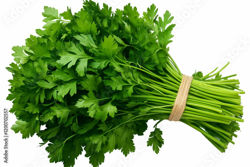 A Bunch of Fresh Parsley Ti...