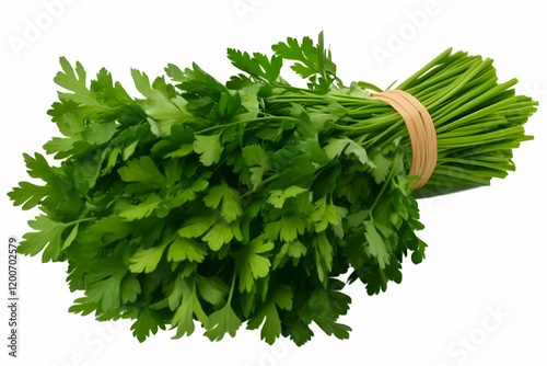 Fresh Parsley Bunch Tied wi...