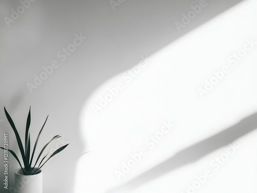 Minimalist Plant in White P...