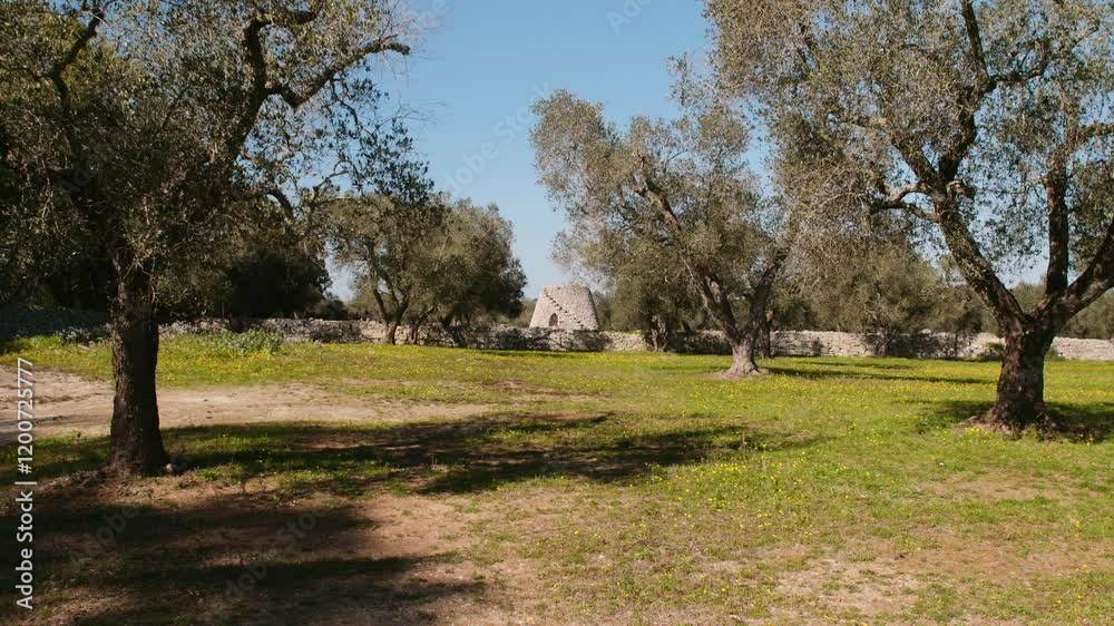 Pajare a typical trullo of Salento land in the south of Italy. Pajare a typical trullo of Salento land in the south of Italy.