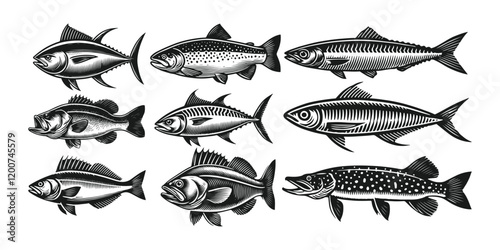 Set of fish black silhouette vector