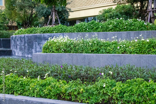 Urban areas and trees live together in harmony. Urban planning concept, placing trees and concrete walls, goes well together.