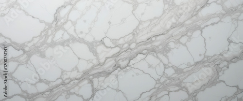 Elegant marble surface with intricate gray veining patterns.