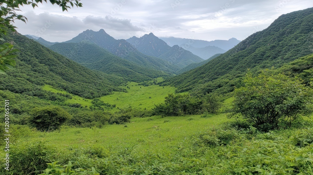 Obraz premium Lush Green Mountain Valley