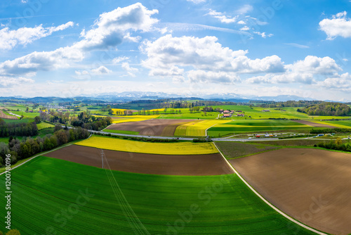 Panoramic and spring view of green barley and yellow rapeseed field on the hill near B?singen, Baden-W?rttemberg, Switzerland photo