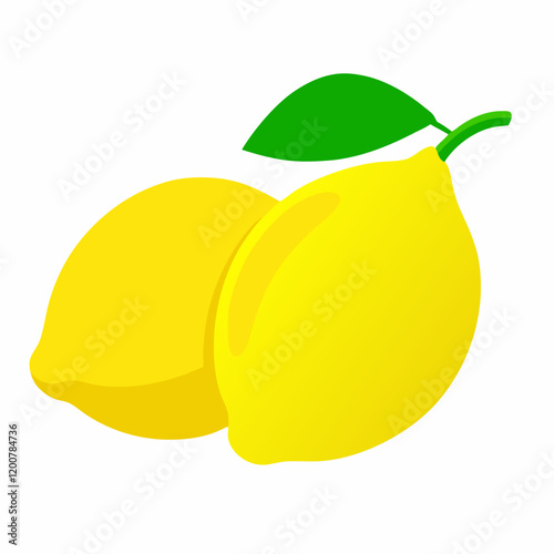 Fresh lemon fruits lemon two whole fruit vector illustration vector (1)