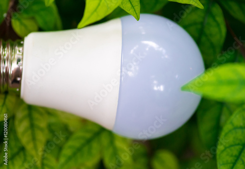 Energy saving LED BULB ECO With the environment,save money while saving the environment  photo