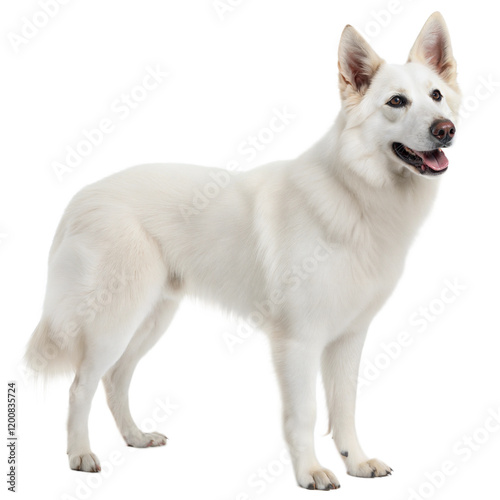 Berger Blanc Suisse AI Generated Image
