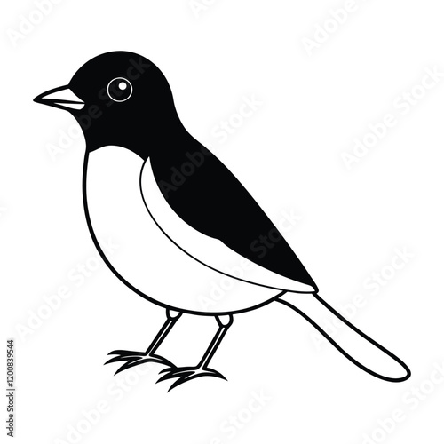 Brid silhouette vector illustration