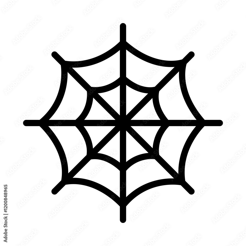 spider web spider web