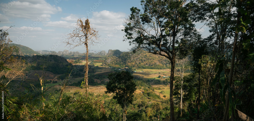 Obraz premium sunset in the mountains