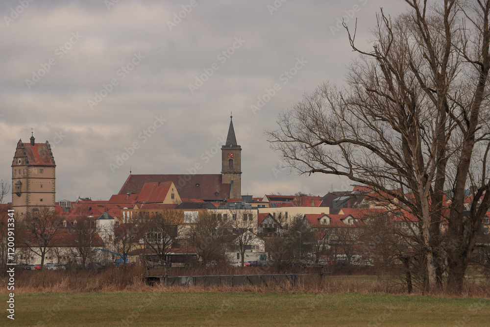 Blick über die Saalewiesen auf Bad Neustadt a. d. S.