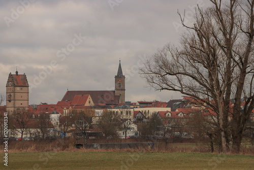 Obraz na płótnie Blick über die Saalewiesen auf Bad Neustadt a. d. S. w salonie