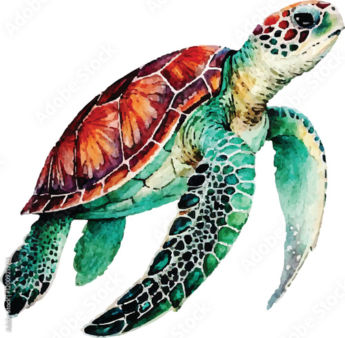 Watercolor sea turtle draw multicolored paints isolated on white background, vector illustration design