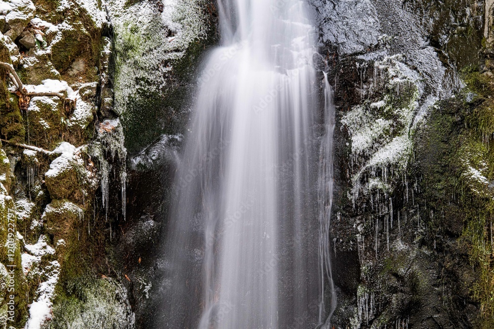 Obraz premium 真冬の里山