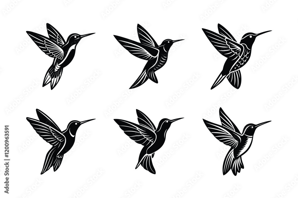 Obraz premium Hummingbird silhouette black set isolated on transparent background