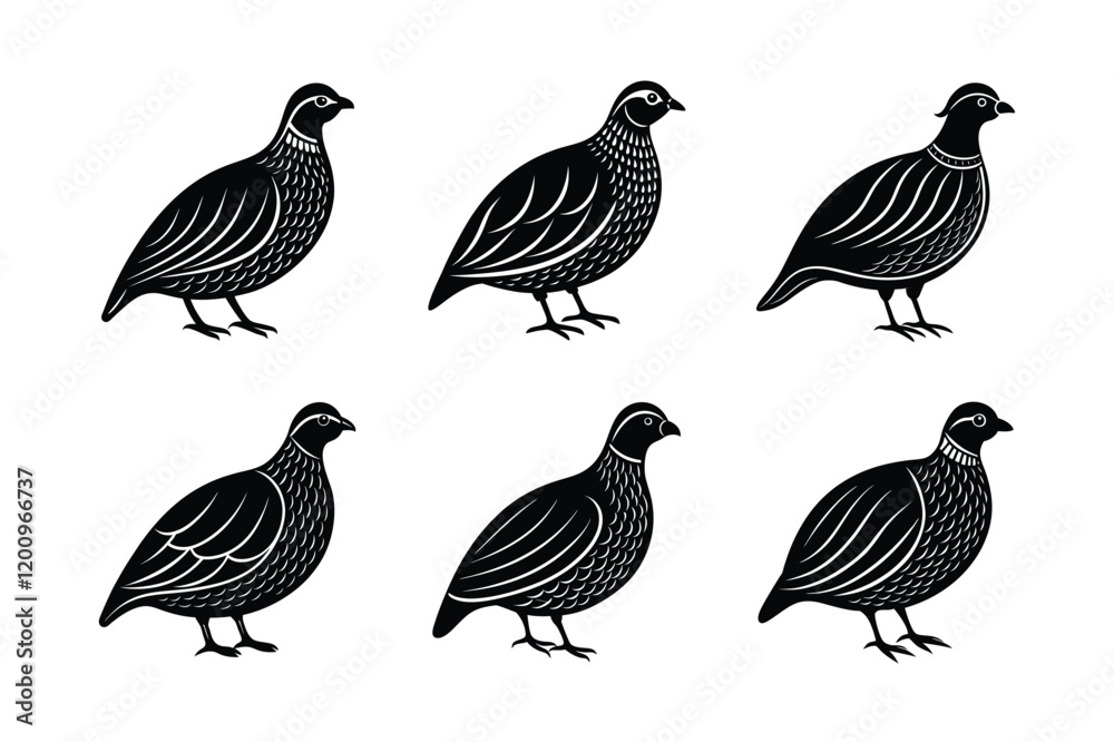 Quail silhouette black set isolated on transparent background Quail silhouette black set isolated on transparent background