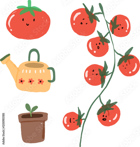 Illustration of tomatos drawn for templates, watercolor style.