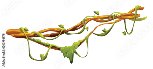 Jungle vines with lush leaves on liana branches. Vector cartoon illustration