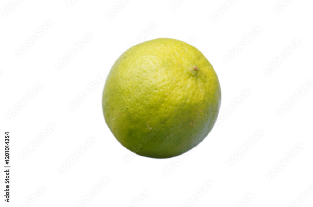 Fresh and Vibrant Green Lime Isolated on White Background Fresh and Vibrant Green Lime Isolated on White Background