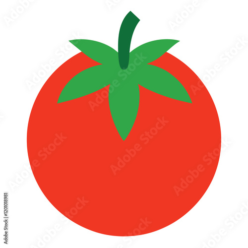 tomato illustration