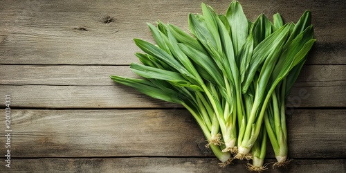 Freshly harvested wild leeks with vibrant green leaves arranged in bunches on a rustic wooden table background illuminated by soft natural light