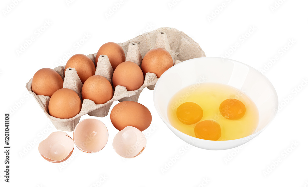 chicken egg on transparent background. png file