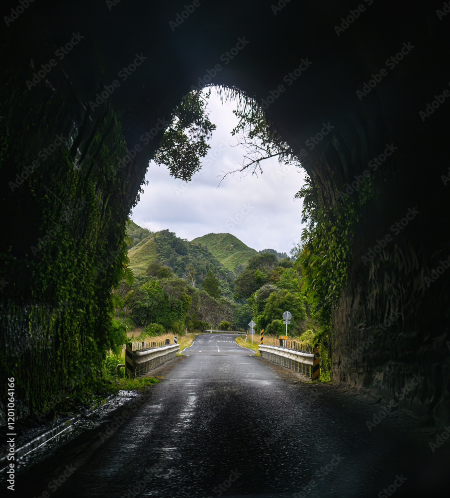 Okau Road tunnel in the Tongaporutu River valley. Ahititi. Taranaki. New Zealand.