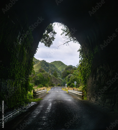 Obraz na płótnie Okau Road tunnel in the Tongaporutu River valley. Ahititi. Taranaki. New Zealand. w salonie