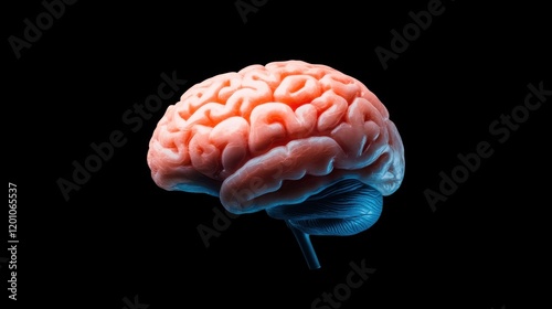 Bright pink human brain displayed prominently against a black background, highlighting its complex structure and intricate neural pathways