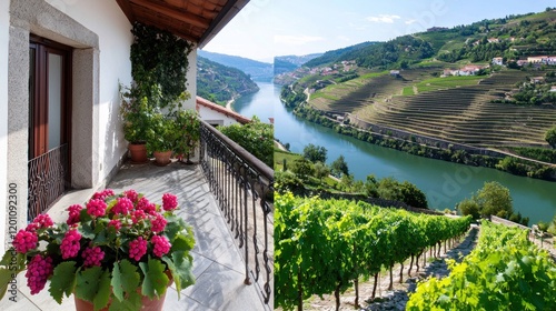 River Valley Vineyard View from Balcony