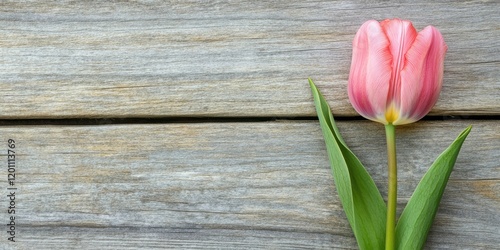 Delicate pink tulip positioned on rustic wooden surface with green leaves showcasing ample copy space on the left for text and branding.