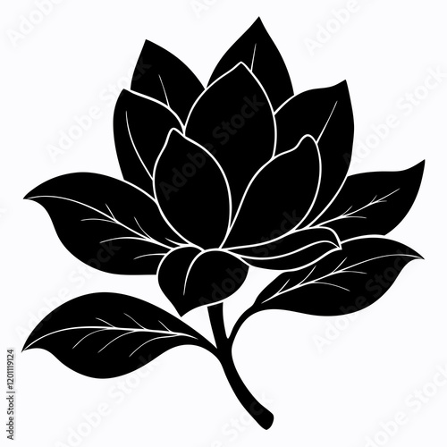 black and white magnolia flower silhouette