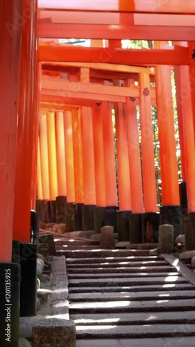 Torii gate corridor at Fushimi Inari Taisha, Kyoto Japan.
