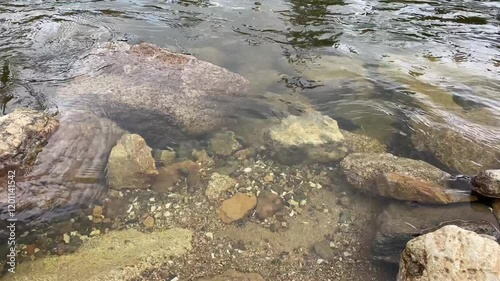 Fast mountain river with pure clear water running among large stones