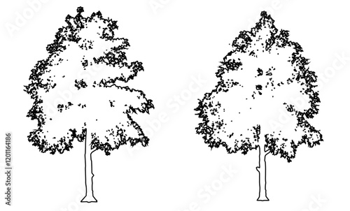 Set or collection of Black Gum trees as a black line drawing silhouette on white background. Concept or conceptual vector for nature, planet, ecology conservation, strength, endurance and  beauty