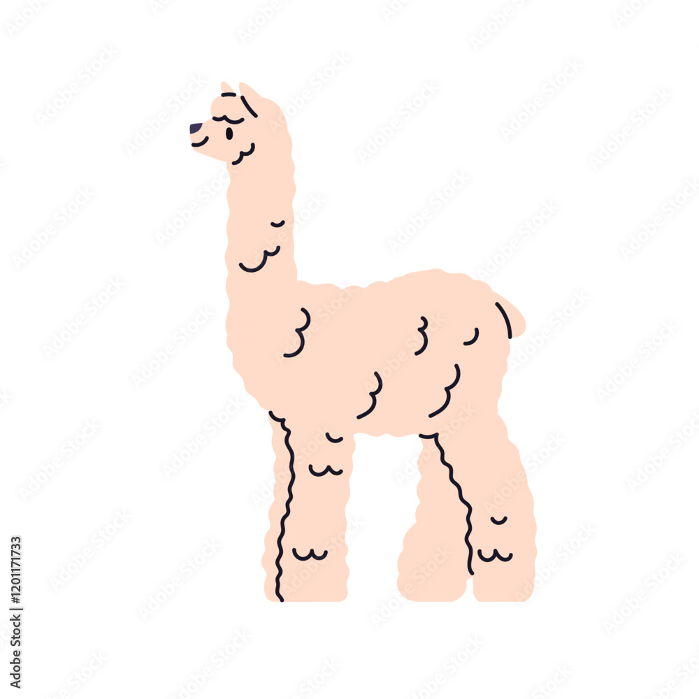 Alpaca, fluffy animal. Cute woolly mammal, standing in profile. Furry wool fauna character. South American llama with fuzzy fur. Flat graphic vector illustration isolated on white background Alpaca, fluffy animal. Cute woolly mammal, standing in profile. Furry wool fauna character. South American llama with fuzzy fur. Flat graphic vector illustration isolated on white background