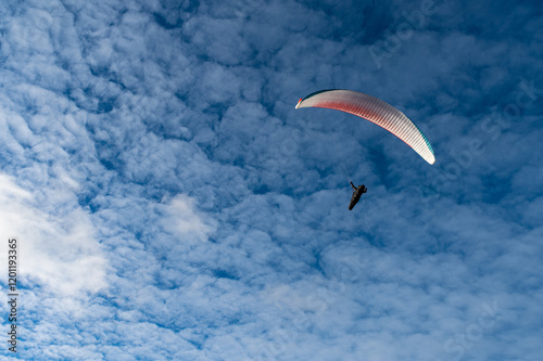 International Paragliding Festival. Extreme paraglider pilot flying over the beach, adventure concept. The Extreme Sports Festival photo