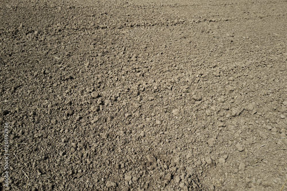 Soil texture background for gardening. Soil as background. Organic gardening. Soil field background. Soil for planting background. Soil texture background for gardening. Soil as background. Organic gardening. Soil field background. Soil for planting background.