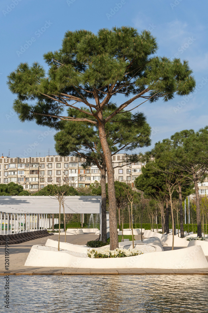 Fototapeta premium City park Krasnodar or Public landscape 'Galitsky park'. Fountain Three streams turning into complex of fountains Pergola with pines. Krasnodar, Russia – April 04, 2024