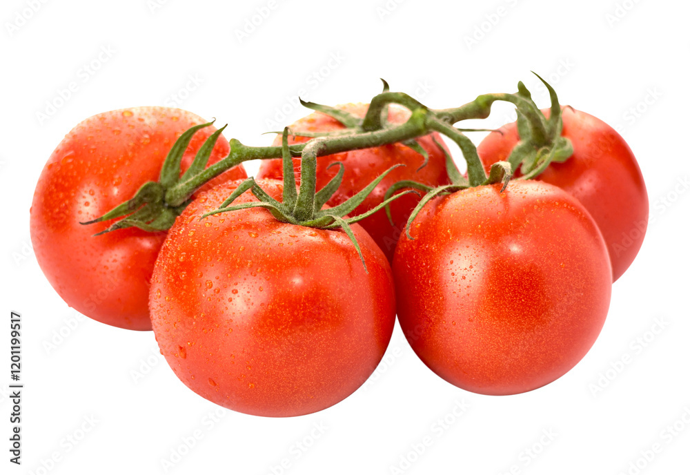 Fresh juicy red Tomato with stem on branch isolated on white background. Fresh juicy red Tomato with stem on branch isolated on white background.