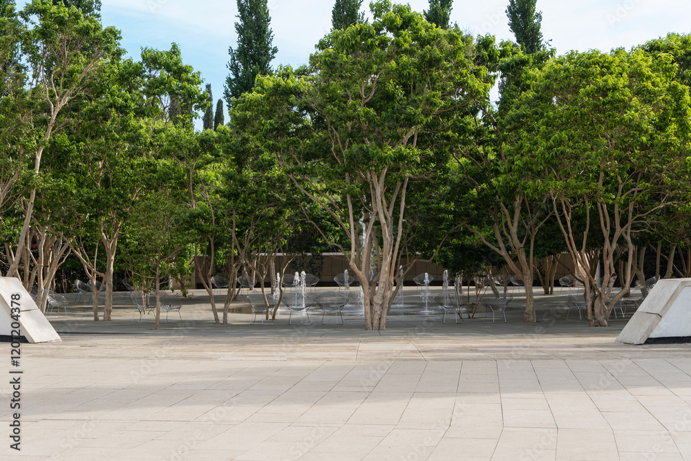 Fototapeta premium Bougainvilleas grow along walls and surround recreation area. Recreation area with fountains is located in shade of Heptacodium miconioides or Seven Sons tree. Krasnodarsky Park or Galician Park.
