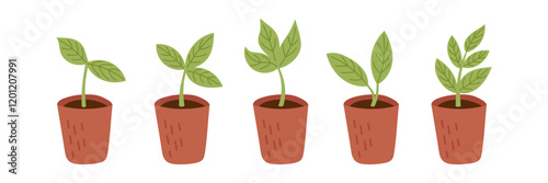 Set of green potted seedlings isolated on white background. Vector flat cliparts.