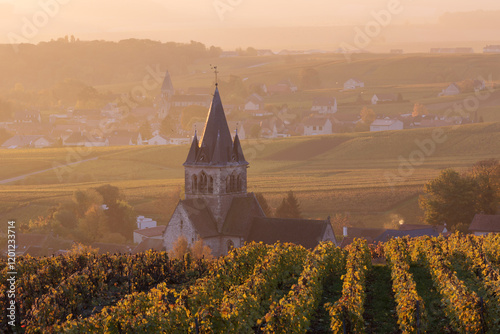 Ville Dommange and its vineyards, Champagne, France photo