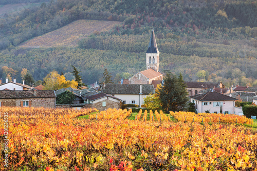 Vineyards of Julienas, Beaujolais region, Rhone Alpes, France photo