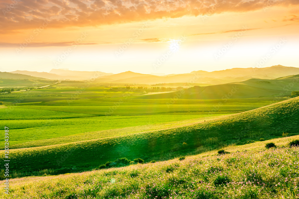 Obraz premium beautiful rural landscape of green spring or summer season valley with flowering green hills and meadow and nice scenic sunset on background