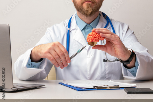doctor is pointing pen anatomical model human brain. Help and care concept