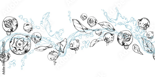 Blueberry blackberry flying in water splashes with drops, hand drawn in ink vector, ripe sketch forest berry and leaves. Seamless banner illustration for restaurant, cafe menu, farmers market, wedding