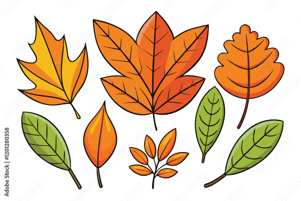 Obraz premium Vector autumn leaves in a variety of shapes and colors, featuring orange and green hues, representing the beauty of the fall season